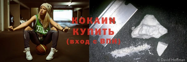 ГАЛЛЮЦИНОГЕННЫЕ ГРИБЫ Абаза