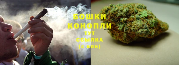 ГАЛЛЮЦИНОГЕННЫЕ ГРИБЫ Абаза