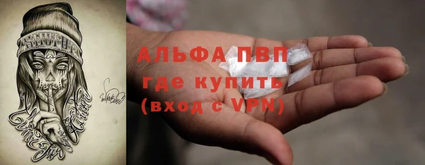 ГАЛЛЮЦИНОГЕННЫЕ ГРИБЫ Абаза