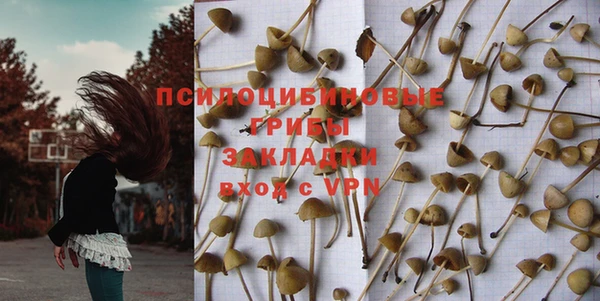 ГАЛЛЮЦИНОГЕННЫЕ ГРИБЫ Алексеевка
