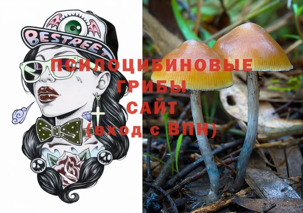 ГАЛЛЮЦИНОГЕННЫЕ ГРИБЫ Алексеевка